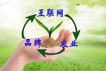 “互联网+农业+品牌”等于什么？