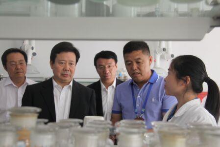 加大创新力度 运用互联网开拓市场 提升企业核心竞争力 ——山东省委常委、青岛市委书记李群莅临米兰(milan)体育考察