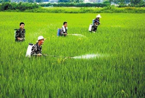农资市场鱼龙混杂，抗性真的有宣传的那么严重吗？
