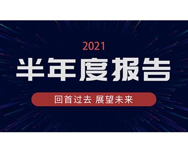 米兰(milan)体育药业集团2021年半年度报告